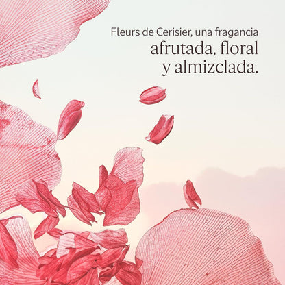 Body Lotion L'Occitane En Provence FLEURS DE CERISIER