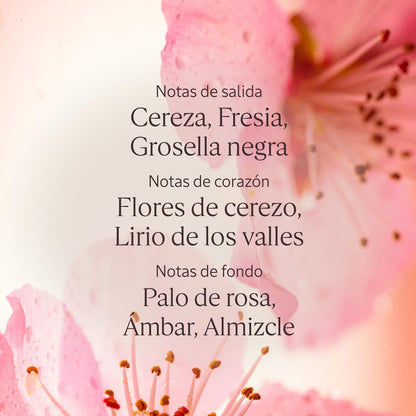 Body Lotion L'Occitane En Provence FLEURS DE CERISIER