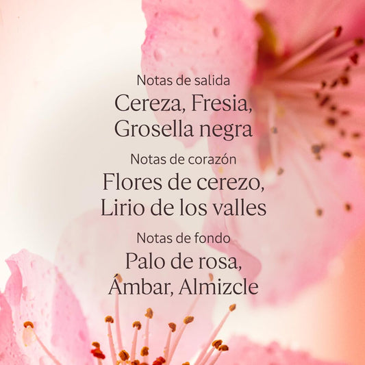 Body Lotion L'Occitane En Provence FLEURS DE CERISIER